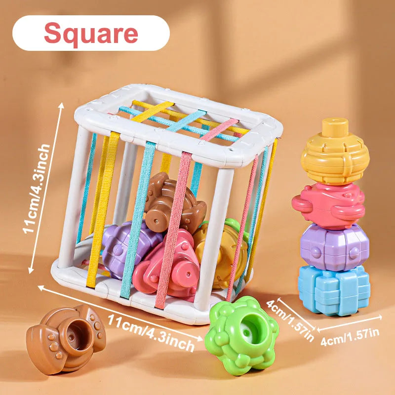 Jouets Sensoriels Montessori – Tri de Formes & Blocs Colorés 18 mois+
