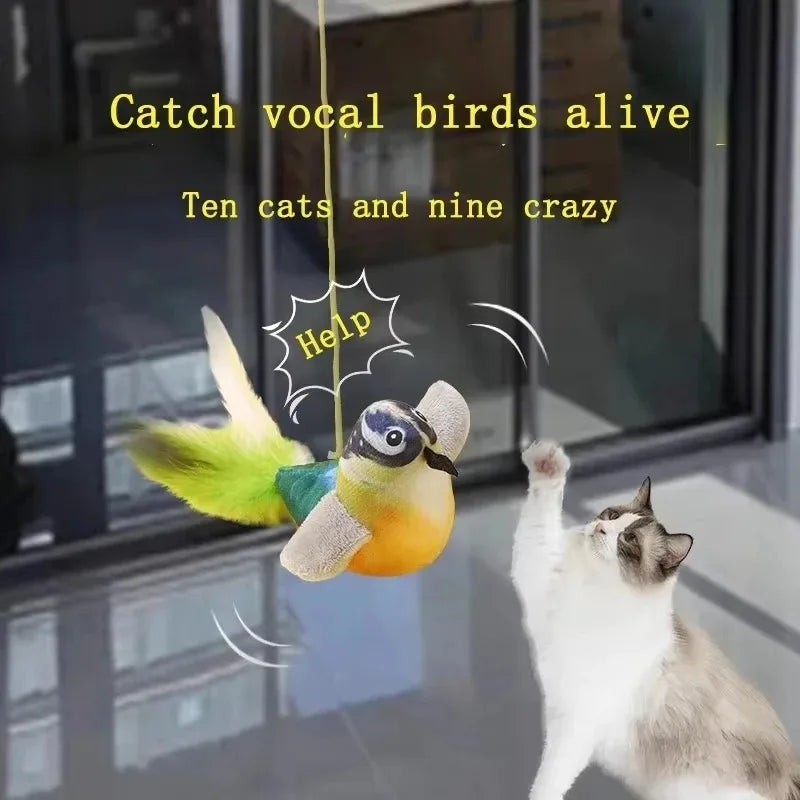 Jouet Chat Interactif – Corde Élastique avec Chant d'Oiseau