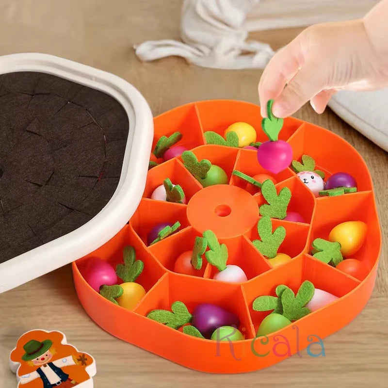 Jeu de Carottes Montessori – Tri des couleurs et formes pour enfants